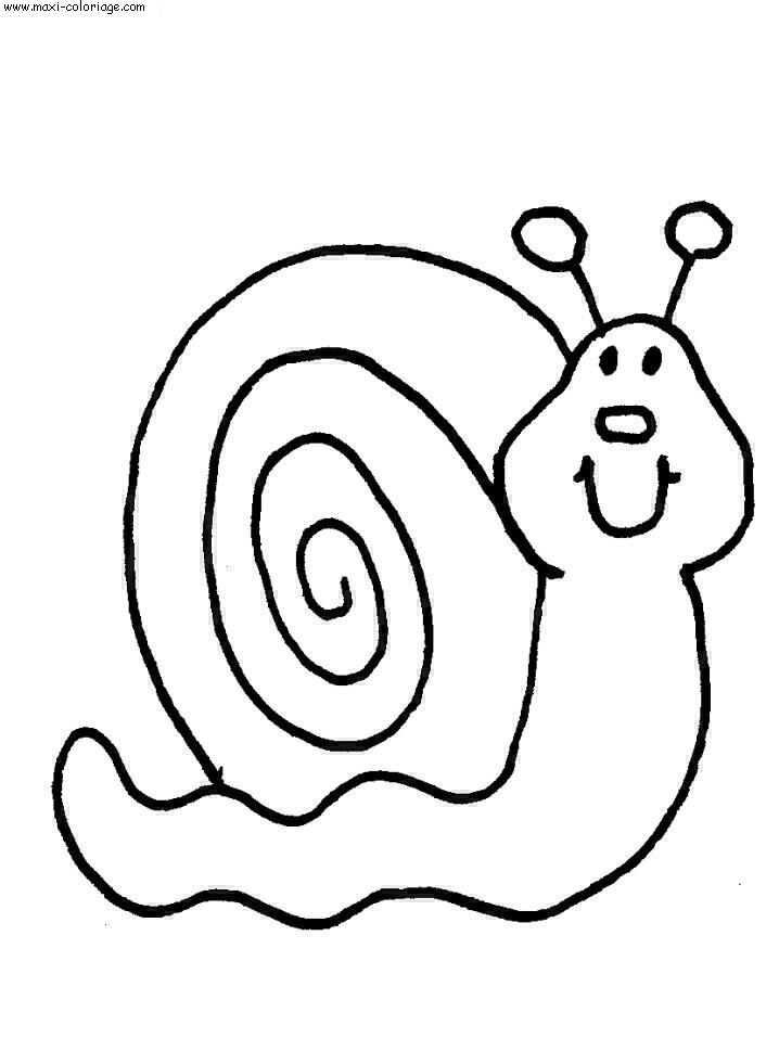 carte invitation Escargots