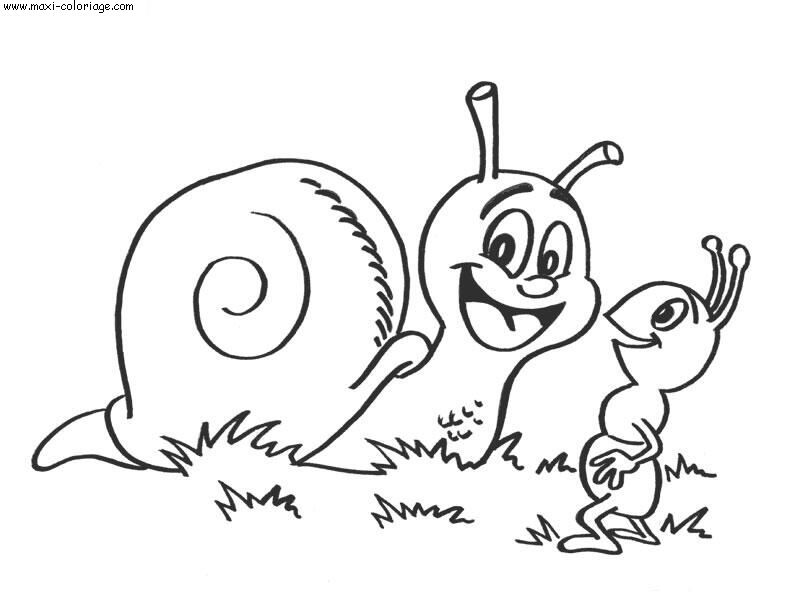 carte invitation Escargots