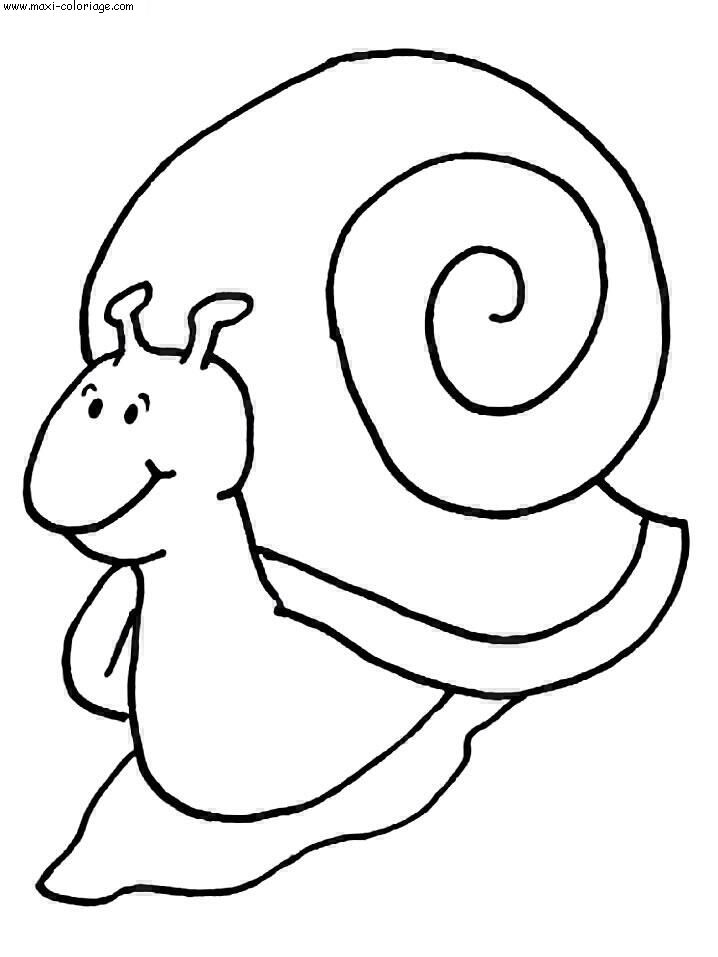 carte invitation Escargots