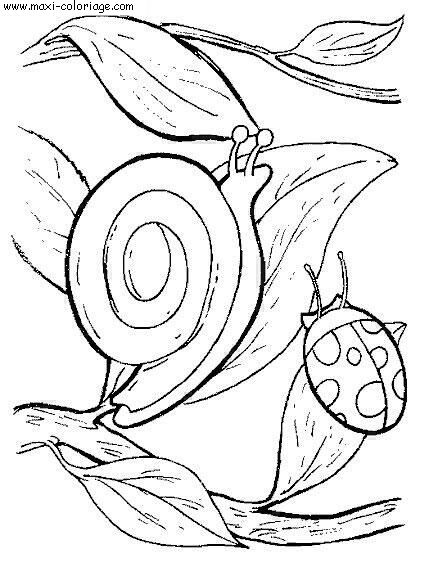 carte invitation Escargots