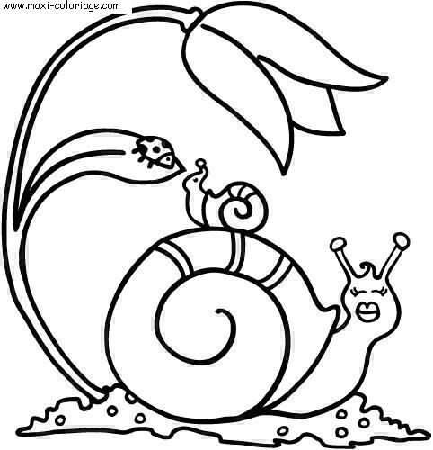 carte invitation Escargots