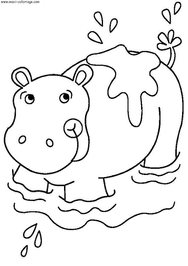 carte invitation Hippopotames