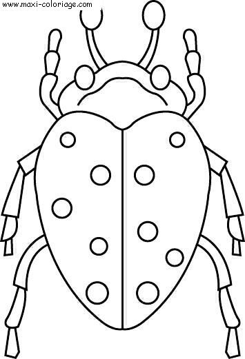 carte invitation Insectes