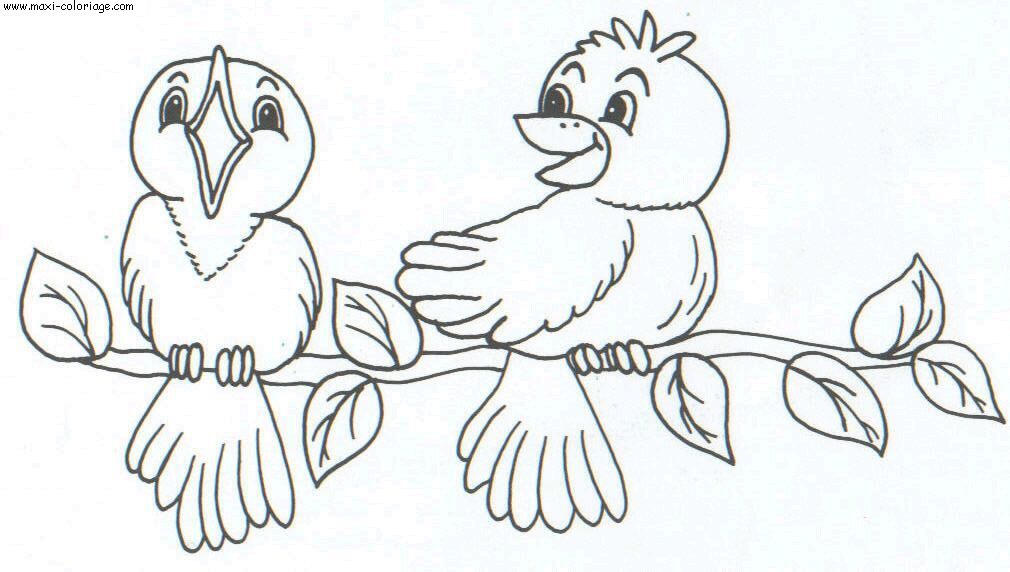 carte invitation Oiseaux