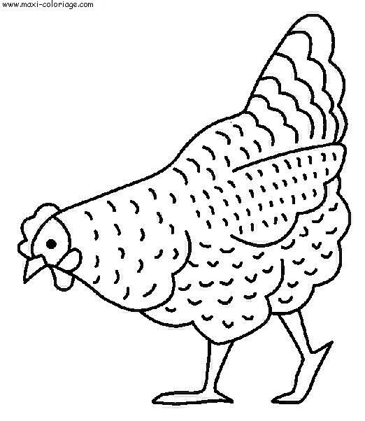 carte invitation Poules