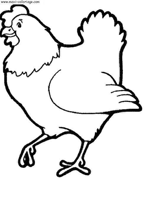 carte invitation Poules