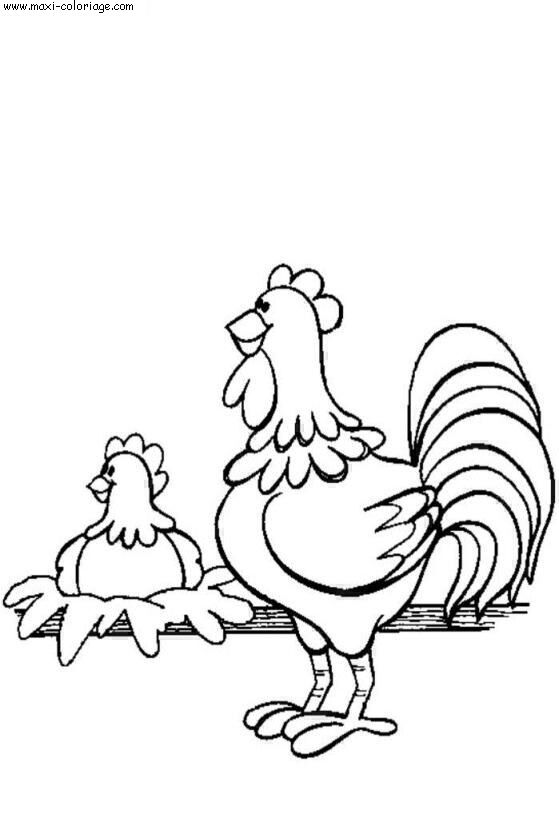 carte invitation Poules