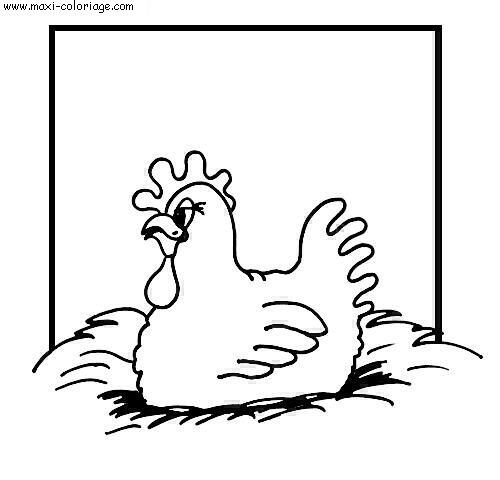 carte invitation Poules