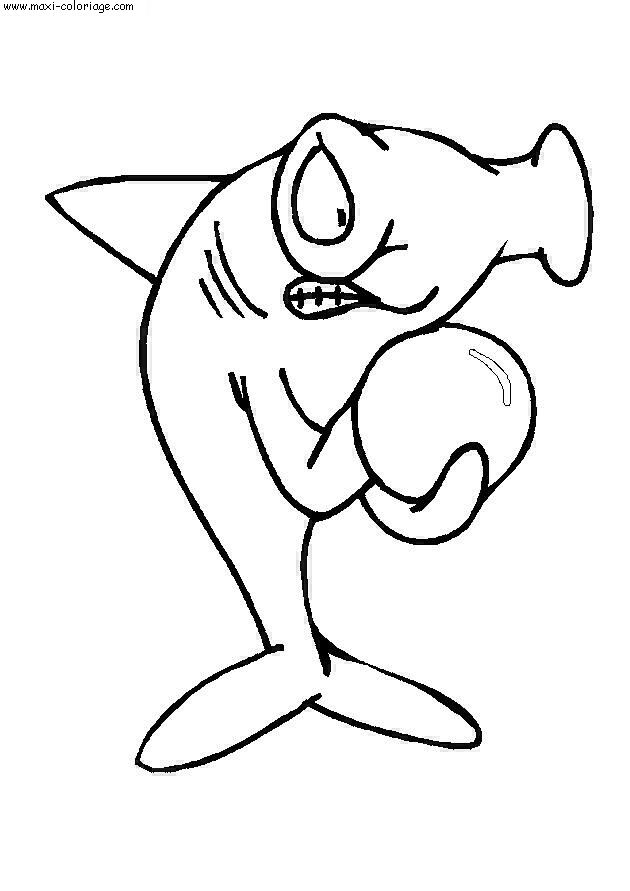 carte invitation Requins