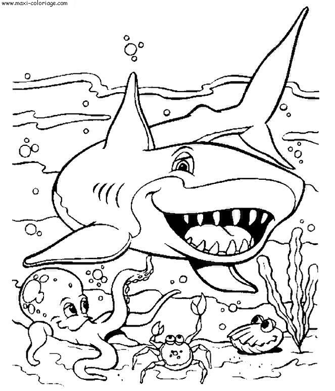 carte invitation Requins