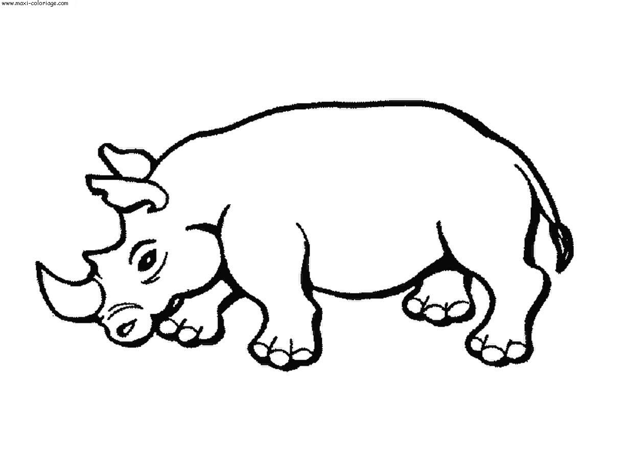 carte invitation Rhinoceros