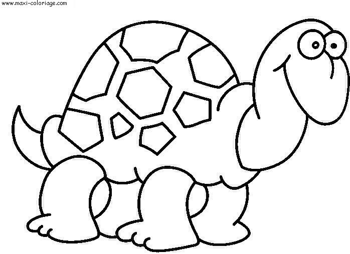 carte invitation Tortues