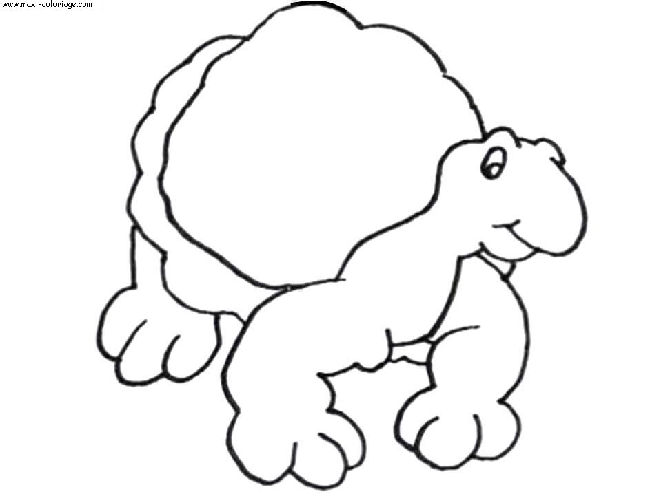 carte invitation Tortues
