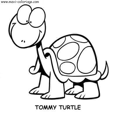 carte invitation Tortues