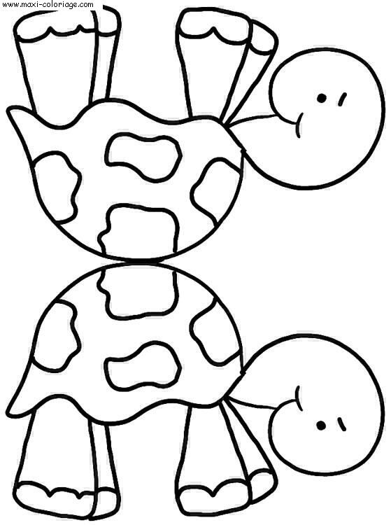 carte invitation Tortues