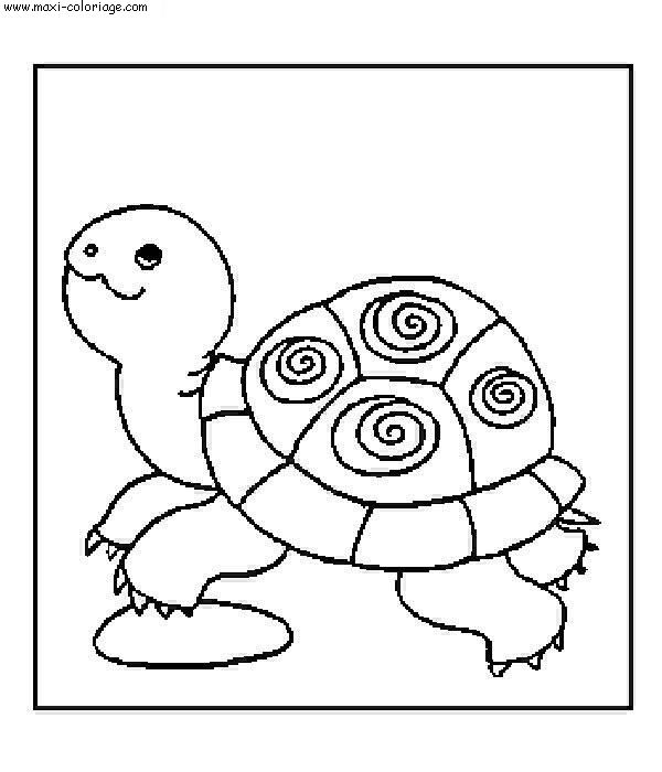 carte invitation Tortues