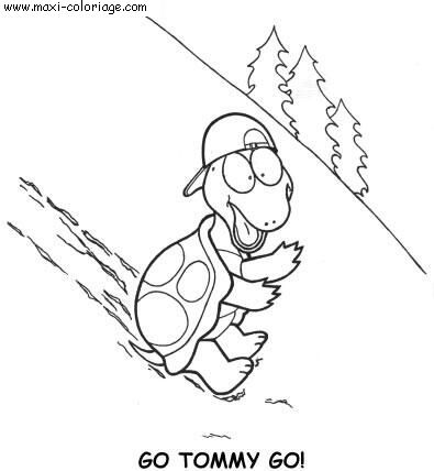 carte invitation Tortues
