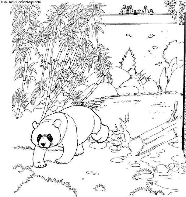 coloriage Zoo