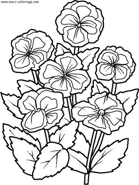 carte invitation Fleurs