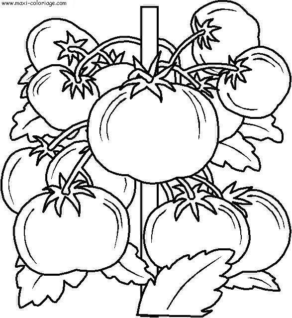 carte invitation Fruits Legumes